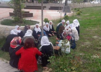 Polîsên dagirker ên Tirk li Licê êrîşî Dayikan kir: 2 kes hatin binçavkirin