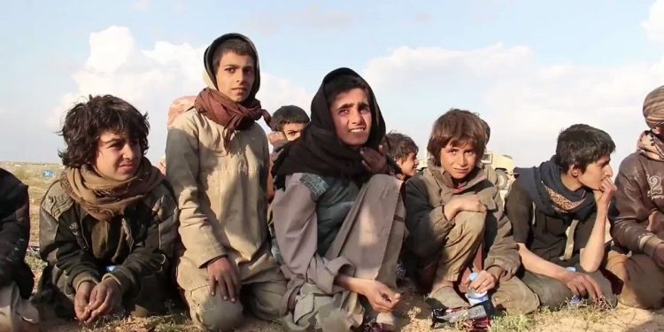 TAYBET – Ji dara ku bi ava îxanetê hatiye avdan, fêkiyên hevaltiyê nayê berhevkirin