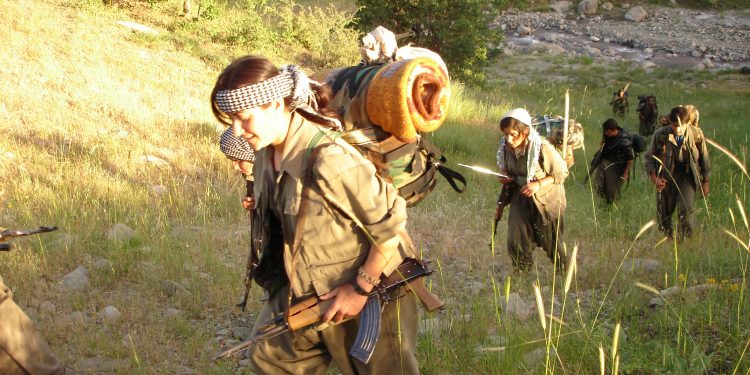 Ji Pênûsa Gerîlla: Ji Heqîqeta Hevpar a Gerdûnê re