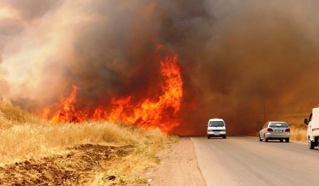 Leşkerên Tirk ên dagirker agir berdan zeviyên Serêkaniyê