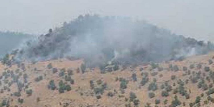 Artêşa dagirker a tirk bi topan êrîşî herêma Metînan kir