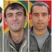 HPG’ê 5 gerîlayên ku li Amedê şehîd bûbûn bi bîr anî