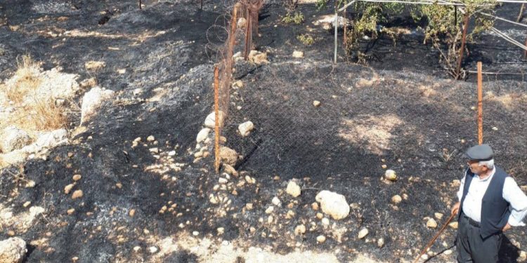 Operasyona leşkerî li Silopyayê: Bax û baxçeyên welatiyan bûn xwelî