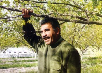 Parêzer ji bo biçin Îmraliyê serî li dozgeriyê dan