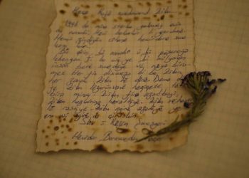 Ji Gerîllayên YJA-Starê name ji bo Şehîd Zîlan !