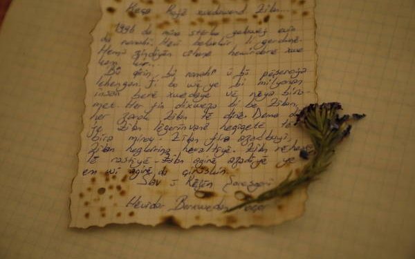 Ji Gerîllayên YJA-Starê name ji bo Şehîd Zîlan !