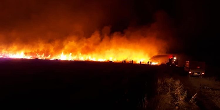 Li Herêmên Kurdistanî Mehekê de 37 Hezar Donim Zevî Şewitîn