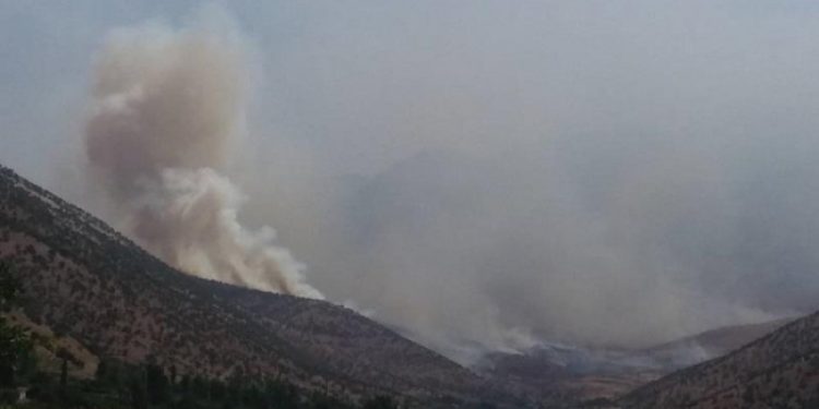 ANALÎZ- Hesabên nepen ya di pişt dagirkirina herêma Bradostê