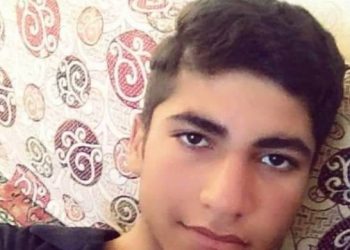 Li Karkamişê Ciwanek di avê de xeniqî