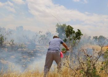 Li Omeryan Şewata ku ji aliyê dewleta Tirk a dagirker ve hatibû derxistin, hate vemirandin