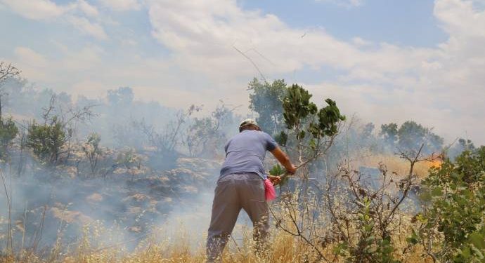Li Omeryan Şewata ku ji aliyê dewleta Tirk a dagirker ve hatibû derxistin, hate vemirandin