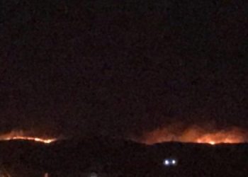 Şewata Omeryan du roje didom e!