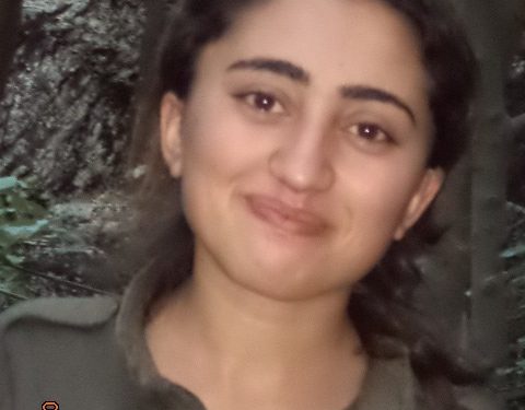 Aslan a ku li jêrzemînan şehîd bûyî, piştî 40 mehî hate veşartin!