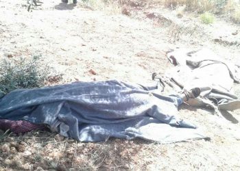 Li Efrînê Çeteyên dagirkeriya dewleta Tirk du Ciwanên Kurd qetil kirin