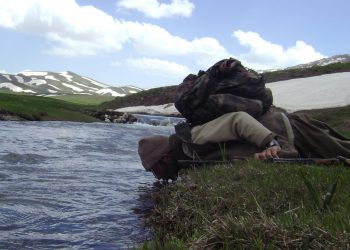 Ji Pênûsa Gerîla – Hestên li Keviyên Ava Şêranê