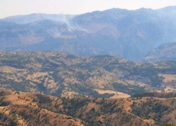 Li Bagokê operasyona leşkerî dest pêkir