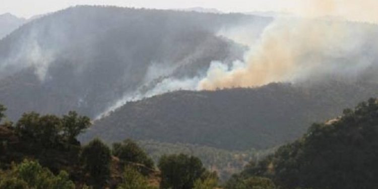 Balafirên şer ên dagirkeran herêmên Nêrwe-Rêkan û Zêbariyan bombe dikin