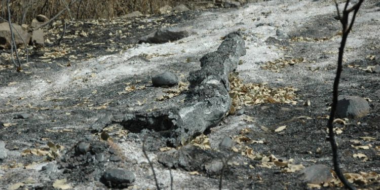 Êrîşên dagirker li ser Bradost û Balakatî doh jî dom kirin