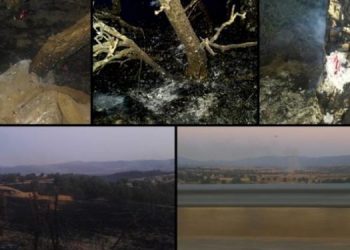 Artêşa Tirk a dagirker zeviyên genim ên li Licê da ber agir