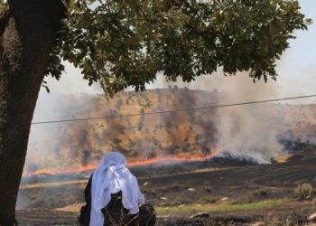 Leşkerên Tirk ên dagirker li Silopî û Qoserê agir bi daristanê xistin