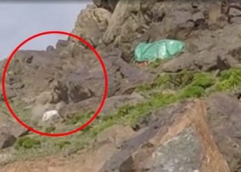 LEZGÎN – Gerîllayên HPG û YJA-Starê li Şirnexê li dagirkeran xist