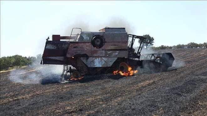 LEZGÎN – Ji Yekîneyên Tolhildana Şehîd Murad Amed li Konyayê çalakî