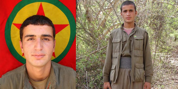 Ji Pênûsa Gerîlla: Şewla Çiyan û Hevalbendî