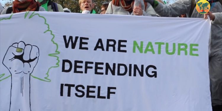 Ji ciwanên enternasyonalîst dîmenê ekolojiyê