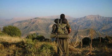 Ji Pênûsa Gerîlla: Lawikê Metînî