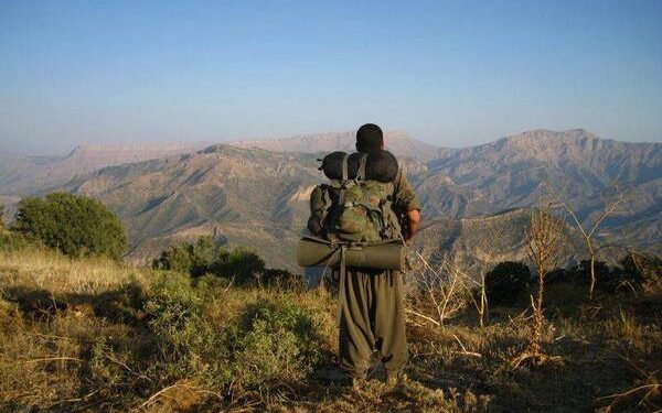 Ji Pênûsa Gerîlla: Lawikê Metînî