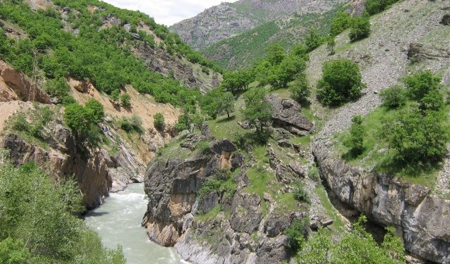 Ji Pênûsa Gerîlla: Ax û Dîroka Xwe Biparêze