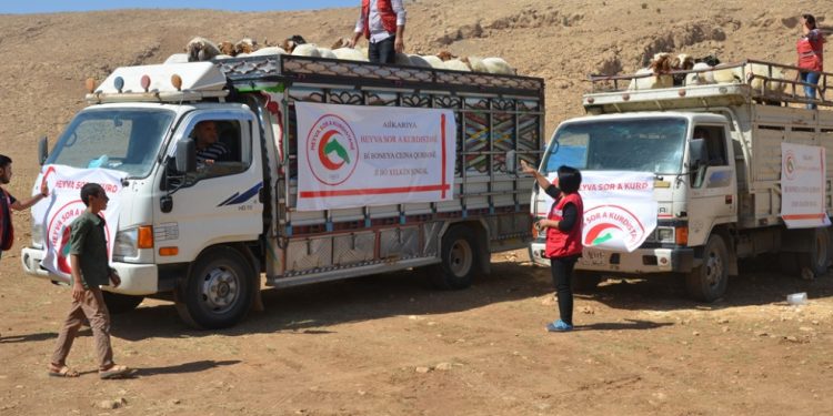 Heyva Sor a Kurdistanê alîkariya qurbanê gihand xelkê Efrînê û deverên wêrankirî