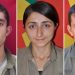 HPG’ê 3 gerîlayên ku li Bedlîsê û Cûdiyê şehîd bûne bi bîr anî
