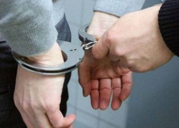 Li Erzirom û Bedlîsê 20 kes hatin destgîrkirin