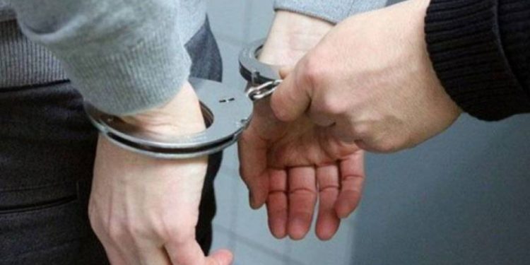 Li Erzirom û Bedlîsê 20 kes hatin destgîrkirin