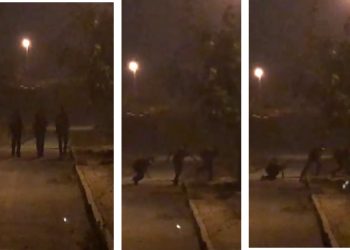 LEZGÎN – Yekîneyên Tolhildanê li dijî nobedarên dagirker çalakî lidar xistin