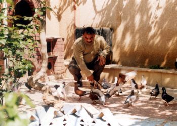 NIRXANDIN – Wek aliyekî çarenûsa xwe bi azad diyar bikin