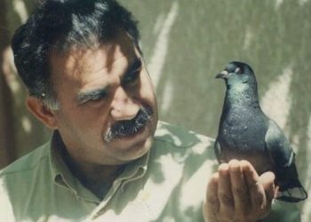 Parêzerên Rêberê Gelan Abdullah Ocalan ji bo hevdîtinê serî li dozgeriyê da