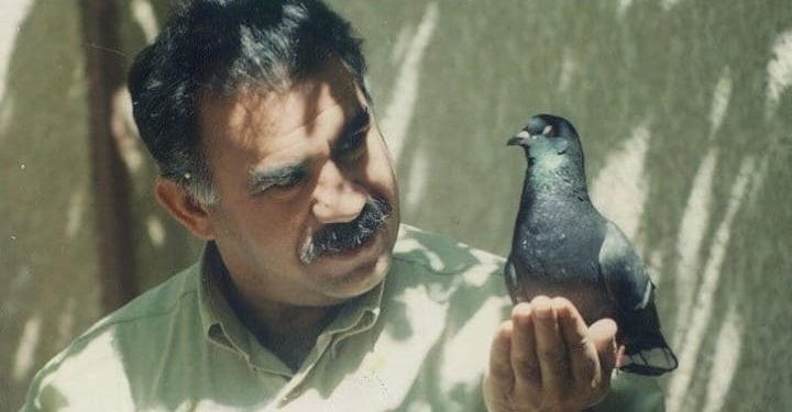 Parêzerên Rêberê Gelan Abdullah Ocalan ji bo hevdîtinê serî li dozgeriyê da