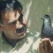 Parêzerên Rêberê Gelan Abdullah Ocalan ji bo hevdîtinê serî li dozgeriyê da