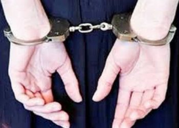 Li Çewligê serdegitina malê de: Jinek hat binçavkirin