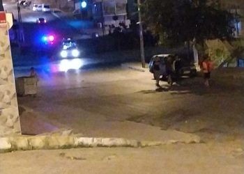 Yekîneya Tohildana şehîd Dilgeş Muş cejna berxwedanê pîroz kir