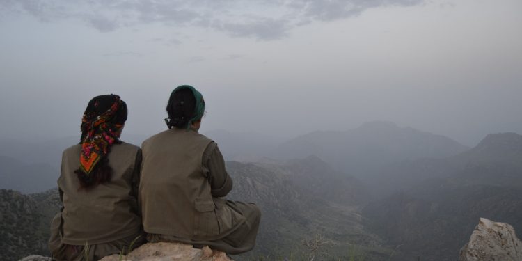 Ji Pênûsa Gerîlla: Li Botanê Egîd û Azîmeyên Hemdem