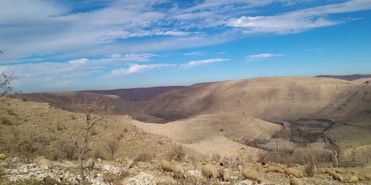 Ji Pênûsa Gerîla: Mozaîka Gelan û Warê Berxwedane: Bagok