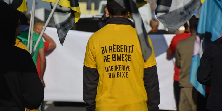 Cend wêneyên balkêş ji Meşa Dirêj a ciwanan