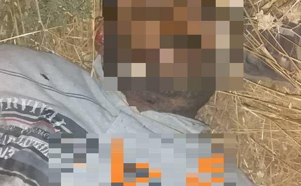 QSD: Berpirsekî payebilind ê DAIŞ’ê hate kuştin