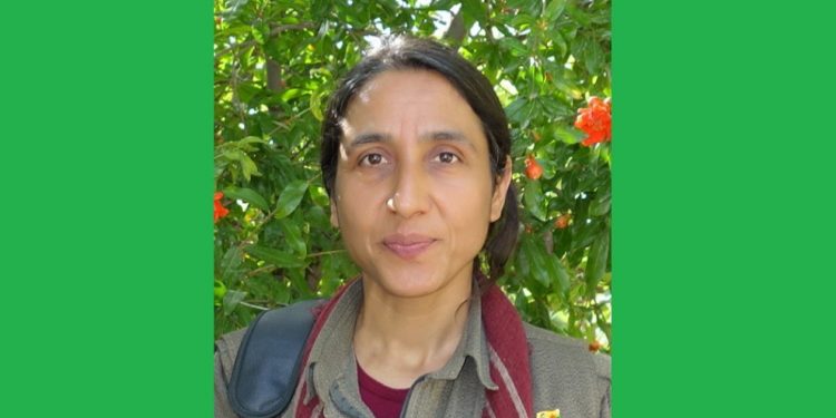 Dîlok: Dewleta Tirk dewleta kontra ye!