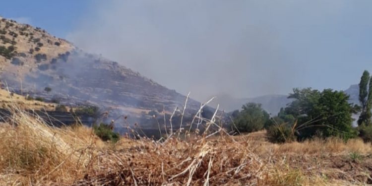 Artêşa Tirk a dagirker li Omeryanê daristanan dişewitîne