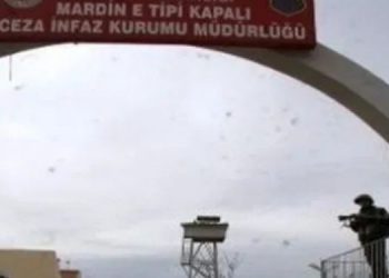 Girtiyên ku nahêlin tazî ser wan werin sehkirin dixin hicreyan!