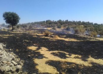 Şewatê li gundên hatin qedexekirin rû da!